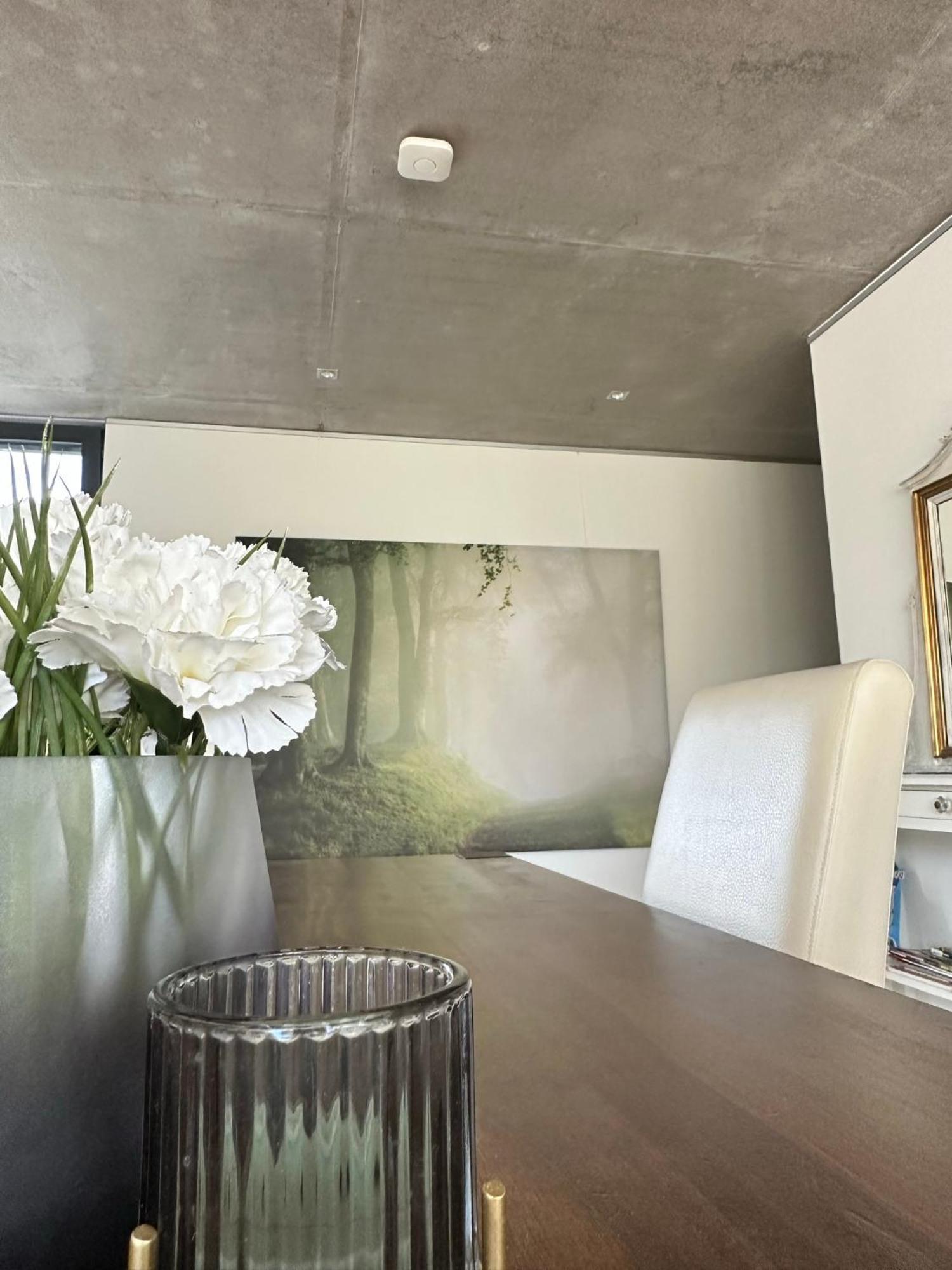 Vicas Ferienwohnung Kappel-Grafenhausen Ngoại thất bức ảnh